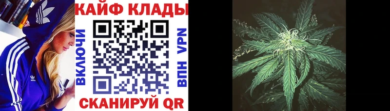 Как найти наркотики Алексин АМФ  Меф  COCAIN  A PVP  Бутират  Конопля  ГАШ 