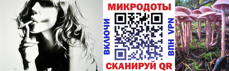 Галлюциногенные грибы мицелий Алексин